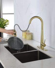 Kitchen Faucet with Pull Down Sprayer ; High Arc Single Handle Kitchen Sink Faucet with Deck Plate; Commercial Modern Stainless Steel Kitchen Faucets