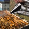 Bee Hive Smoker